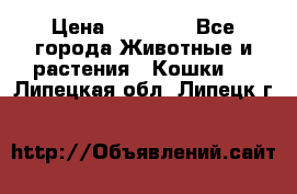 Zolton › Цена ­ 30 000 - Все города Животные и растения » Кошки   . Липецкая обл.,Липецк г.